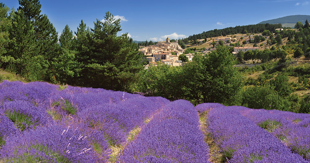 Senteurs de Provence