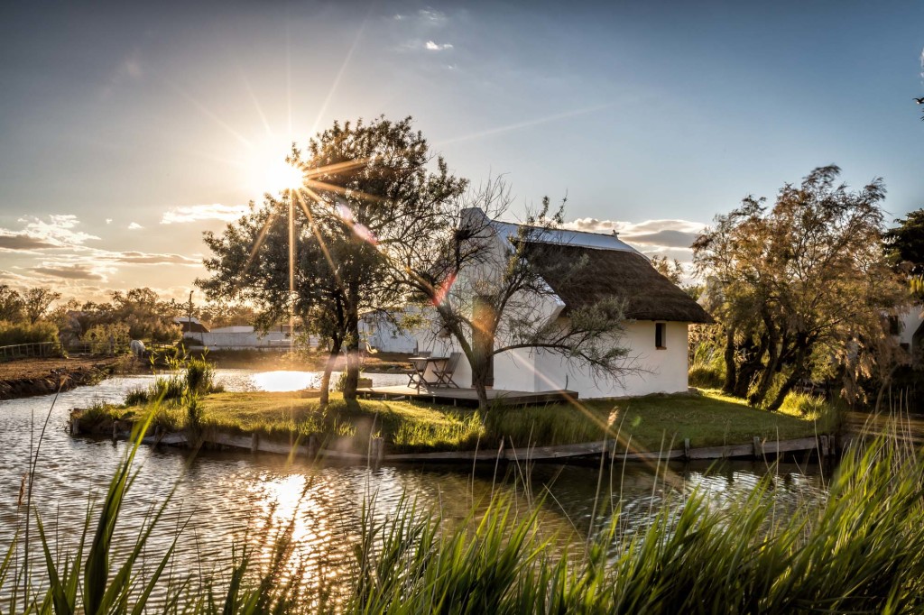 Au cœur de la Camargue