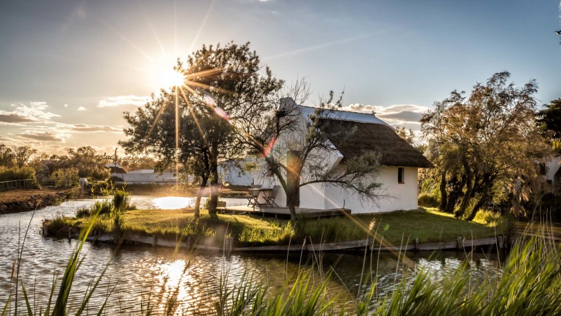 domaine-extérieur-camargue-auberge-cavaliere-du-pont-des-bannes (14)