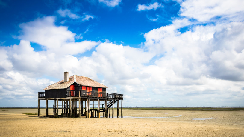 beautiful house in the basin of Arcachon